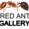 Mybenta Seller | RED ANTS