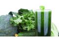 vege green juice, -- Nutrition & Food Supplement -- Las Pinas, Philippines