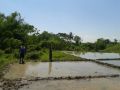 irrigated riceland, cauayan city isabela, -- Land & Farm -- Cauayan, Philippines