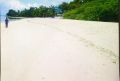 beach lot in brgy lambug, badian cebu, -- Beach & Resort -- Cebu City, Philippines