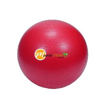 gym ball, -- Exercise and Body Building Metro Manila, Philippines