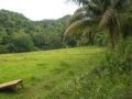 farm land, -- Land & Farm -- Catanduanes, Philippines