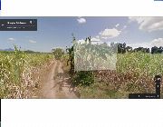 12,239 Sqm. Sugar cane land -- Land & Farm -- Batangas City, Philippines