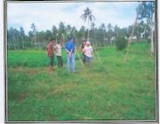 Farm Land -- Land & Farm -- Lipa, Philippines