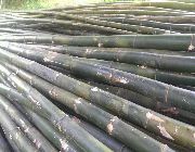 kawayan bamboo kubo -- Partnership -- Batangas City, Philippines