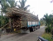 kawayan bamboo kubo -- Partnership -- Batangas City, Philippines
