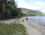 Beachfront Lot for Sale at Puerto Princesa City, Palawan -- Beach & Resort -- Palawan, Philippines