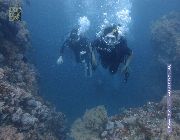 scuba diving -- Other Classes -- Metro Manila, Philippines