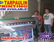 tarpaulin -- Other Business Opportunities -- Metro Manila, Philippines