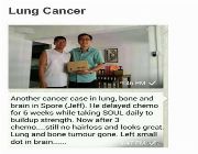 organic supplement, organic, seeds, health and beauty, cancer, wellness -- Natural & Herbal Medicine -- Metro Manila, Philippines