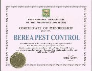 Pest Control Services, Pest Control, Termite Control, Pest, Termites -- Pest Control -- Metro Manila, Philippines