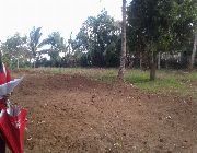 secured, convenient and accessible -- Land & Farm -- Cavite City, Philippines