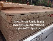 Plywood -- Building & Construction -- Paranaque, Philippines