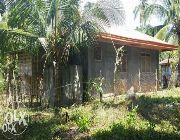 SAMAL HOUSE AND LOT FOR SALE -- House & Lot -- Davao del Sur, Philippines