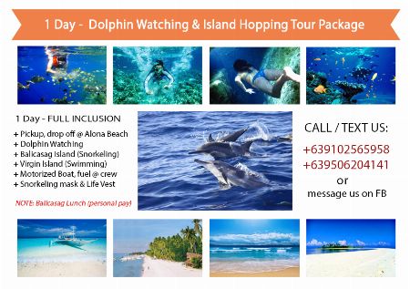 Dolphin Watching & Panglao Island Hopping [ Tour Packages ] Bohol ...