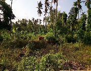 Lot for Sale San Agustin Iriga City Camarines Sur -- Land & Farm -- Camarines Sur, Philippines