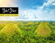 Bohol, Loboc River Cruise, Tour package, Tarsier, Chocolate Hills, Lunch -- Tour Packages -- Metro Manila, Philippines