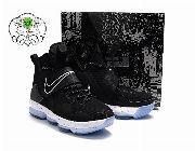 Nike LeBron 14 Basketball Shoes - Black White Ice -- Shoes & Footwear -- Metro Manila, Philippines