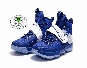 Nike LeBron 14 Basketball Shoes - Sports Blue -- Shoes & Footwear -- Metro Manila, Philippines