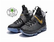 Nike LeBron 14 Basketball Shoes - Cement Gray -- Shoes & Footwear -- Metro Manila, Philippines