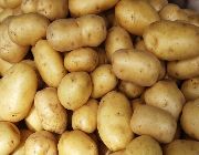 Potato -- Distributors -- Metro Manila, Philippines