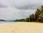 Beach and resort properties for Sale -- Beach & Resort -- Palawan, Philippines