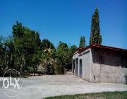 Farm for sale -- House & Lot -- Tarlac City, Philippines
