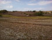 farmland property -- Farms & Ranches -- Tarlac City, Philippines