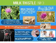 milk thistle extract silymarin bilinamrato swanson puritan milk thistle, -- Nutrition & Food Supplement -- Metro Manila, Philippines
