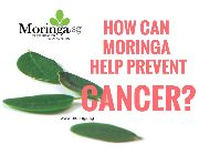 Moringa Oleifera Capsule Supplements, Malunggay Capsule Supplements -- Nutrition & Food Supplement -- Metro Manila, Philippines