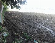 AGRI LOT FOR SALE -- Land -- Pangasinan, Philippines