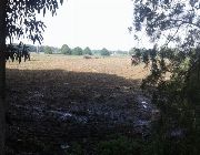 AGRI LOT FOR SALE -- Land -- Pangasinan, Philippines