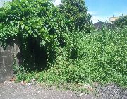 residential, commercial, lot, for sale -- Land -- Albay, Philippines
