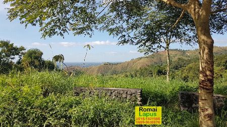 Timberland Farm Lot with City & Mountain View near Quezon City -- Land & Farm -- Rizal, Philippines