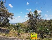 Timberland Farm Lot with City & Mountain View near Quezon City -- Land & Farm -- Rizal, Philippines