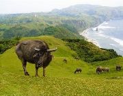 batanes, batanes all-in tour promo, batanes all-in tour package, basco, cebupacific, airasia, pal, sale, travel -- Tour Packages -- Metro Manila, Philippines