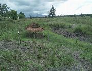 #poultry#residential#halfhectare#zambales -- Land & Farm -- Zambales, Philippines