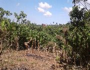 Secured, convenient and accessible, lowest price -- Land & Farm -- Cavite City, Philippines