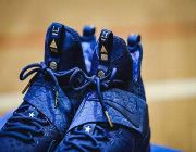 Nike LeBron 14 Agimat BASKETBALL SHOES -- Shoes & Footwear -- Metro Manila, Philippines