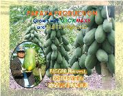 Organic Fertilizer -- Garden Items & Supplies -- Rizal, Philippines