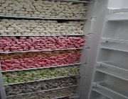 Ice candy -- Distributors -- Pangasinan, Philippines
