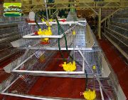 chicken cage -- Agriculture & Forestry -- Metro Manila, Philippines
