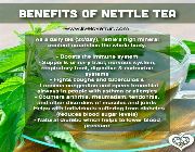 stinging nettle leaf tea bilinamurato organic cut sifted stinging nettle le, -- Natural & Herbal Medicine -- Metro Manila, Philippines