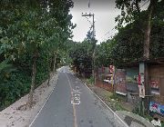 3,754sqm Residential Lot for Sale in Busay Cebu City -- Land -- Cebu City, Philippines