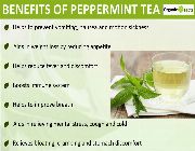 Peppermint tea bilinamurato tevive -- Food & Beverage -- Metro Manila, Philippines