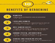 berberine extract bilinamurato vitamins because berberine hcl -- Nutrition & Food Supplement -- Metro Manila, Philippines
