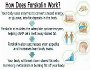 forskolin bilinamurato weight loss dr. oz coleus forskohlii vitamins because -- Nutrition & Food Supplement -- Metro Manila, Philippines