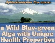 klamath lake blue green algae aphanizomenon flos aquae bilinamurato vitamins because -- Nutrition & Food Supplement -- Metro Manila, Philippines