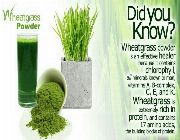 wheatgrass bilinamurato wheat grass powder drink juice piping rock -- Nutrition & Food Supplement -- Metro Manila, Philippines