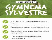 gymnema sylvestre bilinamurato diabetes blood sugar swanson puritan gymnema, -- Nutrition & Food Supplement -- Metro Manila, Philippines
